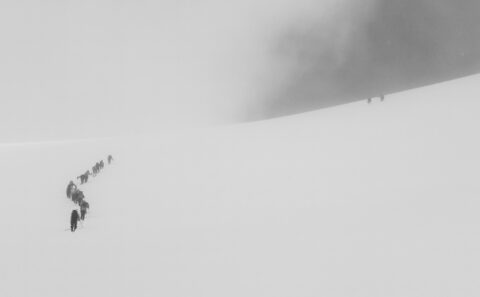 Exit White Out - Signalkuppe Summit